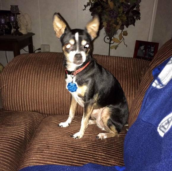 Meet your Posher, Stephanie - Picture 1 of 1